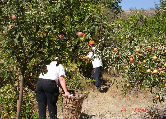 Akkoeyevleri 3* Akköy