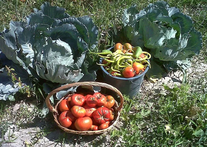 ホテル Akkoeyevleri 3*